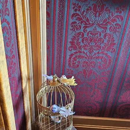 게스트하우스 Palco Exotico Lda *